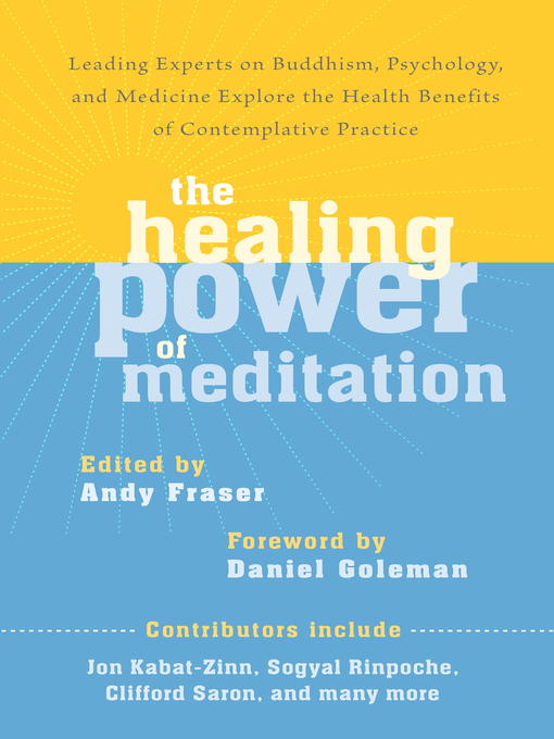 Title details for The Healing Power of Meditation by Andy Fraser - Available